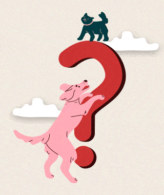 Preguntas frecuentes